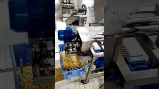 Extrusora de Maiz Cereales Alimentos Concentrados Cañon de cereales Expandidos Maize machine [upl. by Gnut]