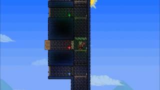 Terraria  Elevator with Mechanics Mod [upl. by Berthoud]