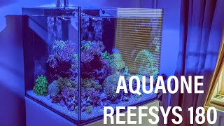 Aquaone Reefsys 180 and Red sea max nano [upl. by Yadrahc]