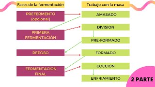 Las 1O FASES ✅ del Proceso De Elaboración Del Pan 🍞 2 PARTE Descubre Como Realizar Un Pan [upl. by Joyann]