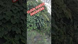 Video inside the cloud forest Cloud Forest Singapore Singapore singaporetravelguide [upl. by Ellicott]