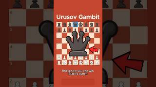 Urusov Gambit Unknown to many🧐chessgambits [upl. by Gyasi677]