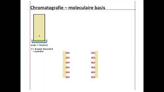 5Vsk  Chromatografie papierchromatografie [upl. by Bryner]