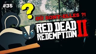 35 MOUFETTE  OÙ LES CHASSER  RED DEAD REDEMPTION 2 [upl. by Enneiviv521]