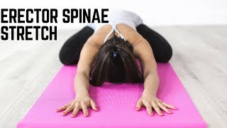 Erector Spinae Stretches for Effective Lower Back Pain Relief [upl. by Lenoel]