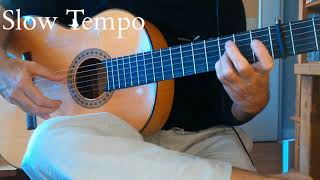 Tientos Flamenco  Tutorial Slow Tempo Tutorial [upl. by Nolra]