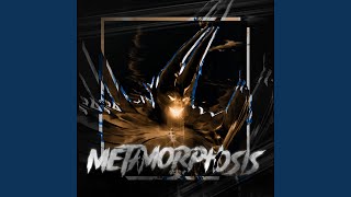 Metamorphosis Speed Up [upl. by Aeynod]