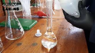 Grade 12 Titrations Practical Part 5 of 6 [upl. by Hait561]