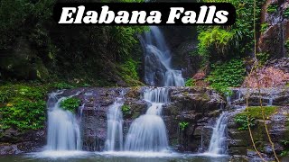 Lamington National Park walk to Elabana Falls in the Gold Coast Hinterland [upl. by Chladek448]