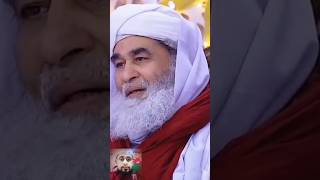 Kin parindon ki beat paak hoti hai maulana ilyas qadri dawateislami [upl. by Graf]