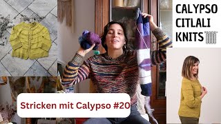 Stricken mit Calypso 20 Frühling  strickpodcast [upl. by Alatea]