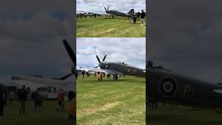 Sywell Airshow 2024 flew got line walk aviation airshow ww2 warbirds planespotting [upl. by Urd931]