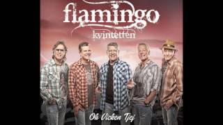 Flamingokvintetten  Guitar Boogie [upl. by Wilhide]