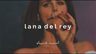 the best of lana del rey a playlist slowed  reverb [upl. by Anaik645]