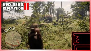 Red Dead Redemption 2 Weapons Expert 6 [upl. by Ranit17]