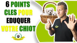 Comment éduquer un chiot facilement  EDUC DOG [upl. by Orvah]