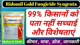 Ridomil gold fungicide uses in hindi  syngenta ridomil gold  Price  dose [upl. by Ebner]