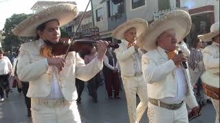 Mariachi Continental de la Laguna La guadalupana 2022 [upl. by Lubet]