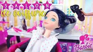 Barbie Salon de coiffure avec Marinette ladybug l Miraculous ladybug amp Chat noir [upl. by Zeuqirdor]