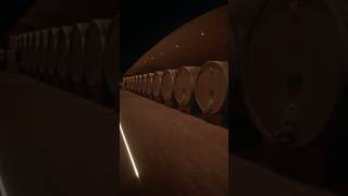 Antinori nel Chianti Classico🇮🇹🎥marchesiantinorivineyard winery familybusiness italy tuscany [upl. by Ateuqal]