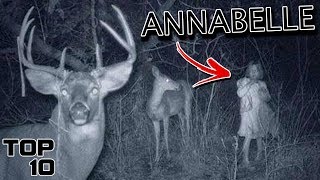 Top 10 Scary Forest Discoveries [upl. by Ayotol]