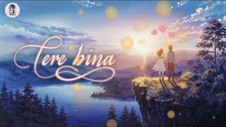 tere Bina without you ll new hindi song 2024 [upl. by Eidac]