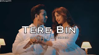 Tere Bin  R Nait  Slowed X Reverbed  Isha Sharma  newpunjabisong2024  Best slowedandreverb [upl. by Persse]