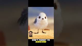 This Little bird learn life heck👌👌 must Watch Till end shortsbeta [upl. by Alasteir]