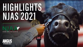 NJAS21  National Junior Angus Show 2021  HIGHLIGHTS [upl. by Ilegna869]