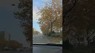 Traveling to Darmstadt shortvideo germany [upl. by Cayla140]