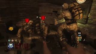 Black Ops Zombies Grief squeaked out with the revive [upl. by Gannes]