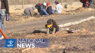 Planting a new future in Muskeg Lake Cree Nation  APTN News [upl. by Jenda]