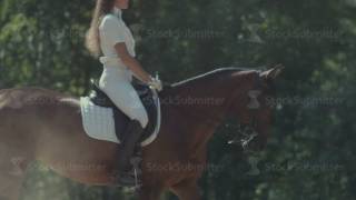 Rider in the saddle Horseback riding on the sunny forest [upl. by Dewayne]