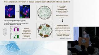 DNA damage response and repair  2024 Genome Architecture and Function Workshop [upl. by Gnov301]