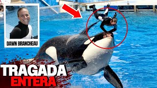 Una Orca se Traga a Dawn Brancheau en Seaworld [upl. by Anitnoc]