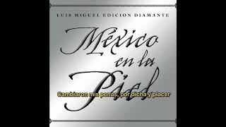 Luis Miguel  Paloma Querida Karaoke [upl. by Marmion]