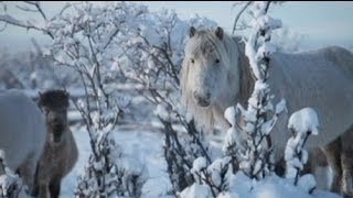 Oymyakon  the worlds coldest inhabited place [upl. by Dnalkrik]