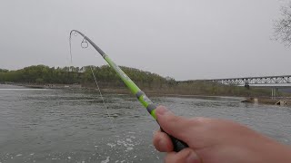 Huge MUSKY Caught While Fishing For BASS Epic Surprise  Allegheny River Fishing [upl. by Atineb47]