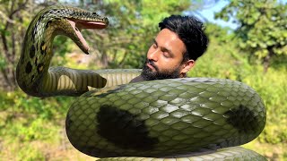 Giant Anaconda Snake Enwind Man amp Swallowed ALIVE   🐍 [upl. by Felice]