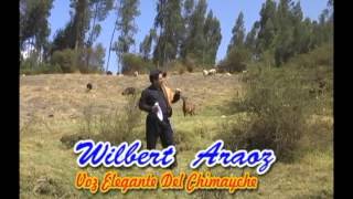 Shatuquita  Wilbert Araoz [upl. by Assadah7]