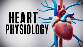 The Cardiac Cycle Simplified  What You Need to Know [upl. by Gisser996]