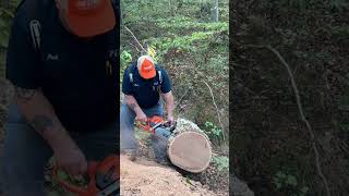 Ported husqvarna 562xp mkll chainsaw chainsawstihl 2stokelovers husqvarna562xp husqvarna [upl. by Dawes]