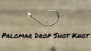 How to Tie Fishing Knot Drop Shot Knot  Palomar [upl. by Summons]