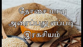 Dosa Batter Recipe in Tamil  Idli Dosa maavu in Tamil  How to make Dosa batter at home [upl. by Eenalem683]