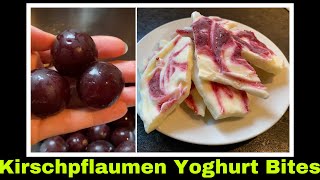 Kirschpflaumen Yoghurt Bites  Frozen Yoghurt Eis ohne Eismaschine  Selbstversorgung Mirabellen [upl. by Atiuqat]