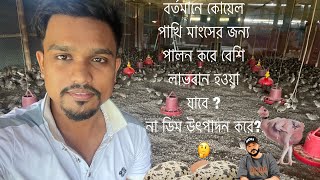 বর্তমানে কোয়েল পাখি কিভাবে পালন করে লাভবান হওয়া যায় koyel khamar  koyel pakhir dimkoyel palon [upl. by Eilrebma78]