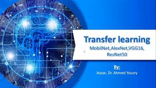 Transfer Learning  Understanding VGGResNet MobileNet  AlexNet [upl. by Gaskin]