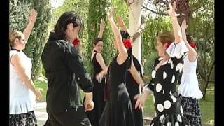 Sevillanas para Bailar  Sevillanas mix 2º  Parte 6 [upl. by Giarg653]