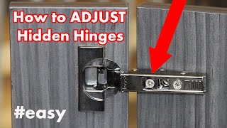 How to Adjust Kitchen Cabinet Hinges  DIY [upl. by Purvis]