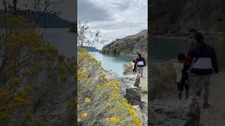 Fall flowers at Kalamalka Lake BC 🇨🇦 okanagan britishcolumbia canada [upl. by Lainahtan]